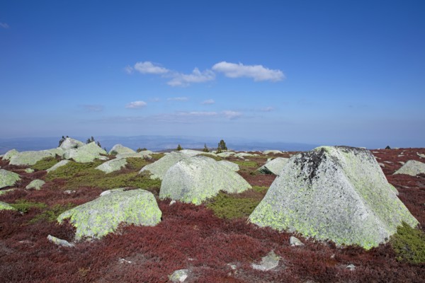 Mont-Lozère, Lozère
