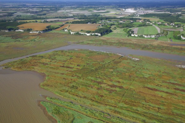 Paysage de l'estuaire de la Gironde, Charente-Maritime