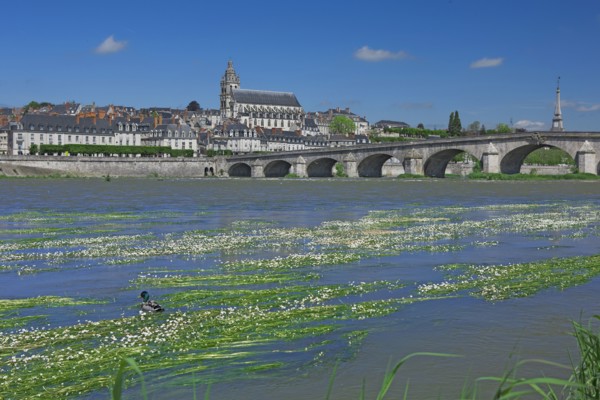 Blois, Indre-et-Loire