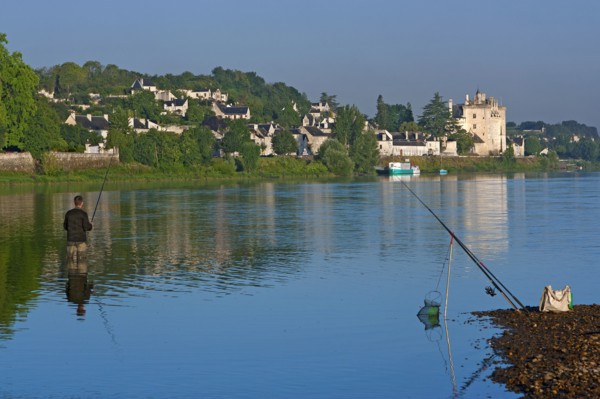 Berge de la Loire, Maine-et-Loire