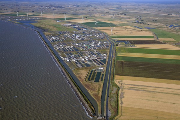 Beauvoir-sur-Mer, Vendée