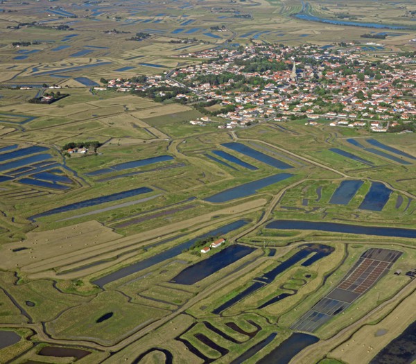 Bouin, Vendée