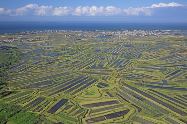 Noirmoutier-en-l'Ile, Vendée