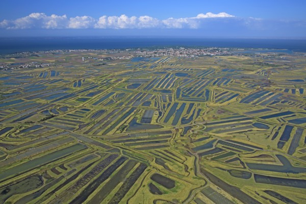 Noirmoutier-en-l'Ile, Vendée