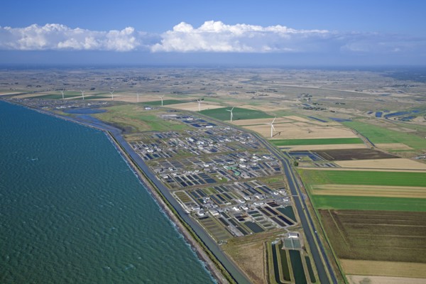 Beauvoir-sur-Mer, Vendée