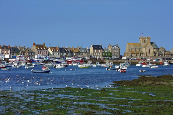 Barfleur, Manche