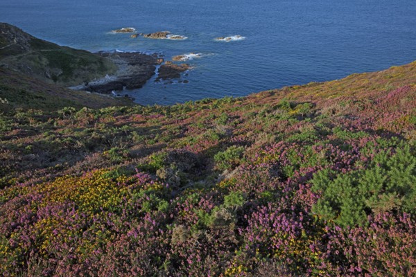 La Hague, Manche