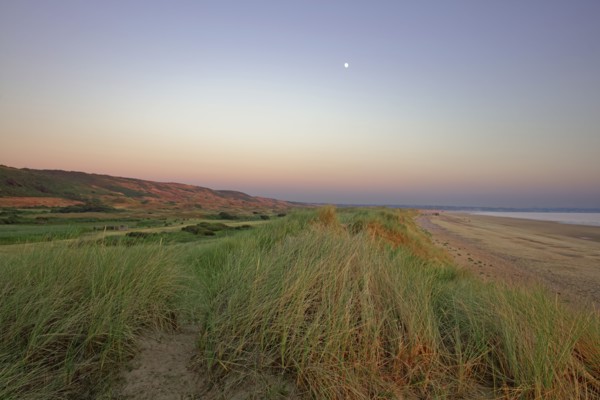Massif dunaire à Biville, Manche