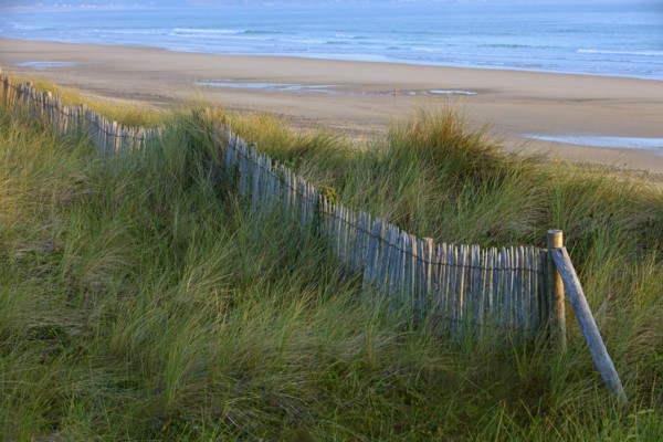 Vauville, Manche