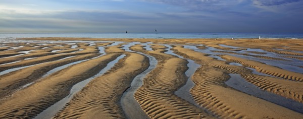 Beach at low tide, Manche
