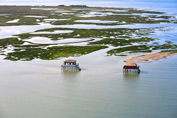Arcachon, l'ile aux oiseaux, Gironde