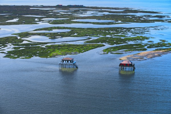 Arcachon, l'ile aux oiseaux, Gironde