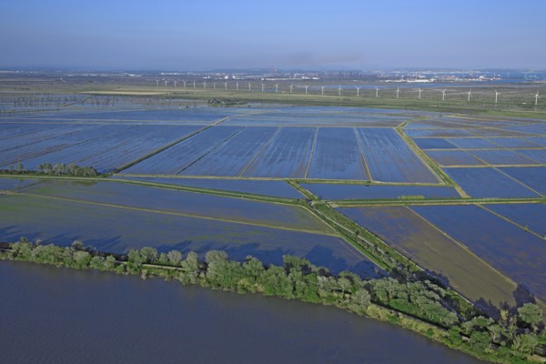 Port-Saint-Louis-du-Rhône, Bouches-du-Rhône
