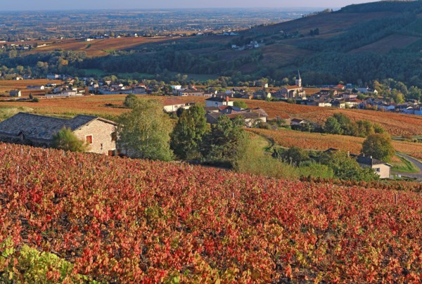 Juliénas, Rhône