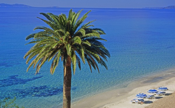 Nice, Alpes-Maritimes