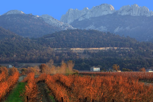 Les dentelles de Montmirail, Vaucluse