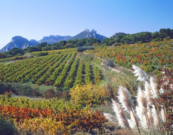Gigondas, Vaucluse