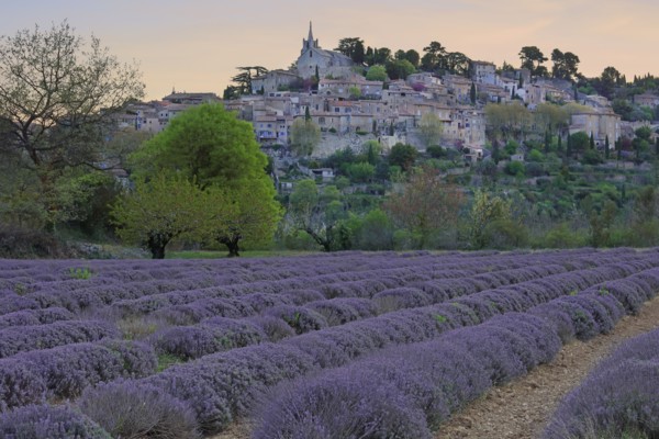 Bonnieux, Luberon, Vaucluse