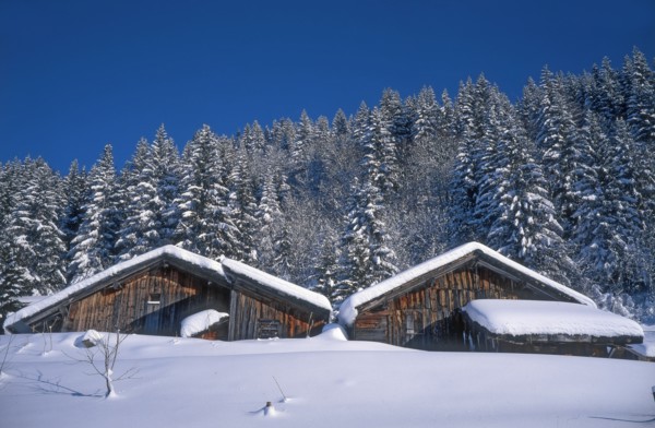 Chalets in winter, Haute-Savoie