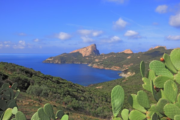 Piana, Corse