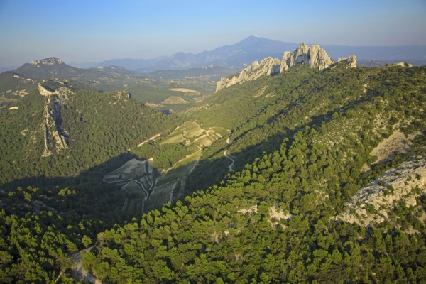 Les Dentelles de Montmirail, Vaucluse