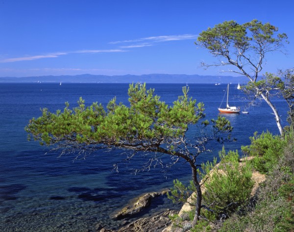 Ile de Porquerolles, Var
