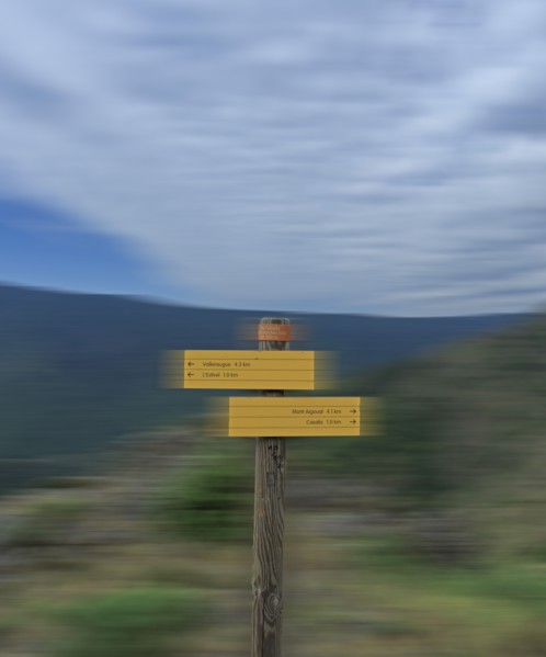 Parc National des Cévennes, massif de l'Aigoual, Gard