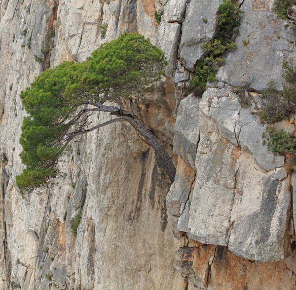 Calanques de Marseille, Bouches-du-Rhône