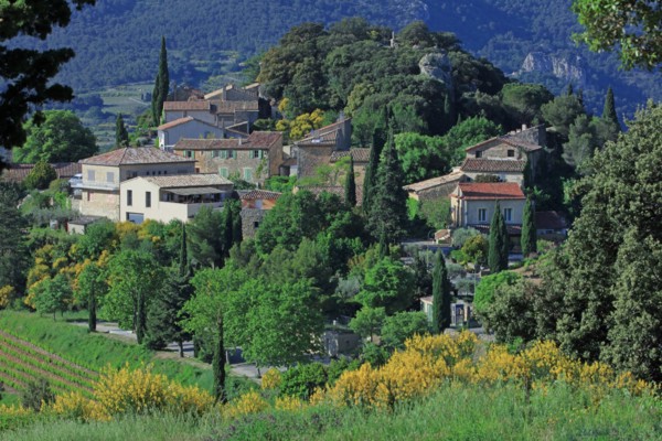 Suzette, Vaucluse