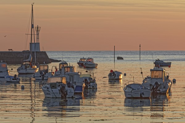 Barfleur, Manche