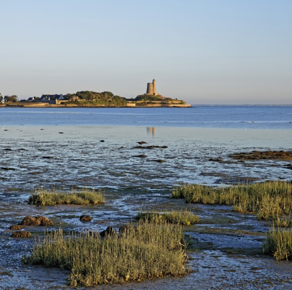 Saint-Vaast-la-Hougue, Manche