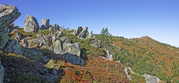 Les Estables, Haute-Loire