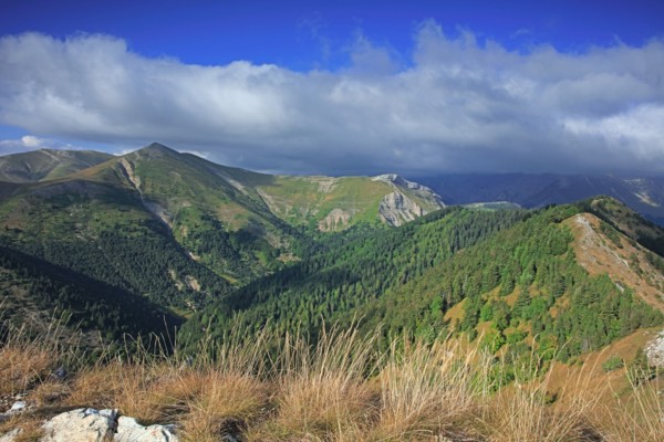 Lus-la-Croix-Haute, Drôme