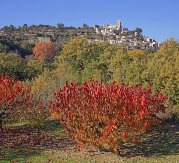 Lacoste, Vaucluse