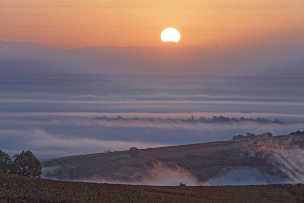 Solutré-Pouilly, Saône-et-Loire