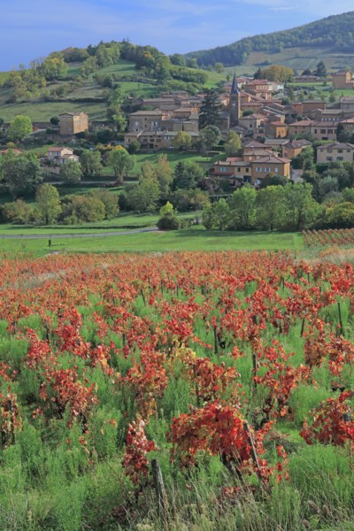 Ville-sur-Jarnioux, Rhône