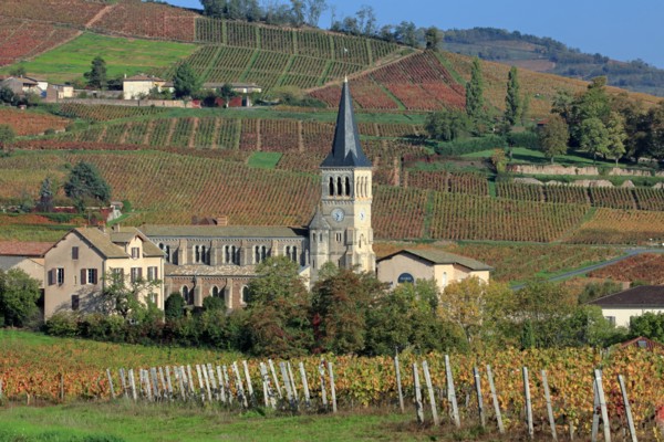 Chénas, Rhône