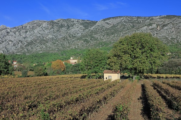 The Montagne Sainte-Victoire, Bouches-du-Rhône