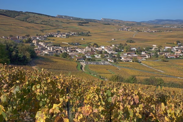 Fuissé, Saône-et-Loire