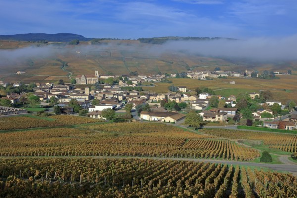 Fuissé, Saône-et-Loire