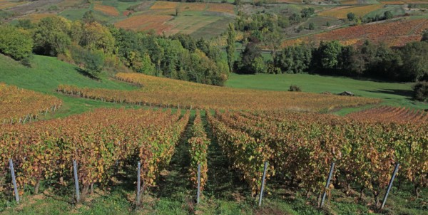 Saint-Vérand, Saône-et-Loire