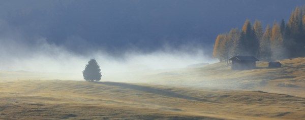 Alpe de Suisi, Dolomites, Italie