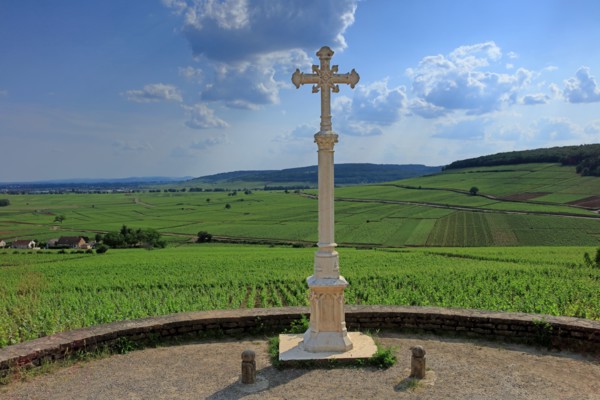 Aloxe-Corton, Côte d'Or