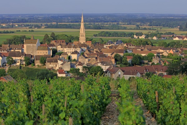 Meursault, Côte d'Or