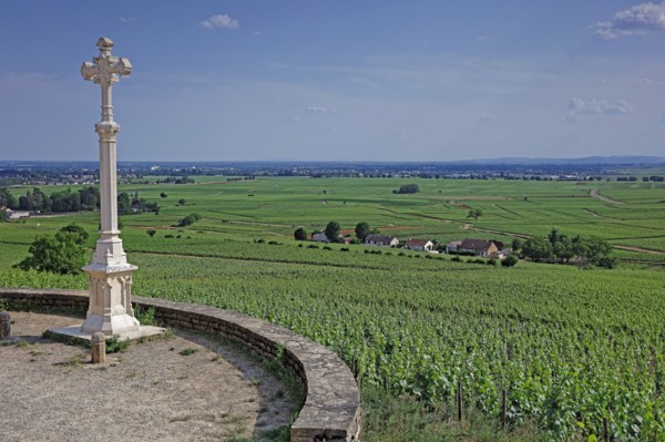 Aloxe-Corton, Côte d'Or