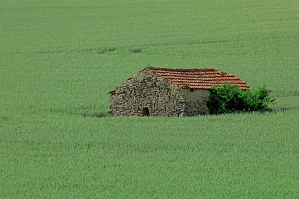 Maison au milieu d'un champ, Côte d'Or