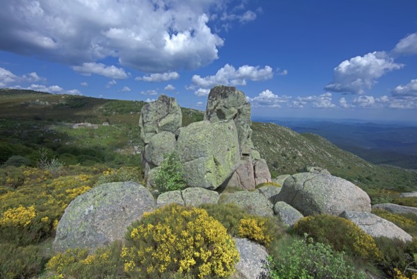 Landscape in Lozère