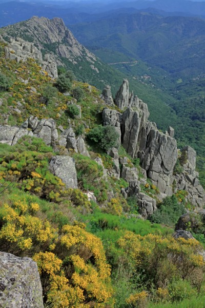 Paysage du Mont Lozère