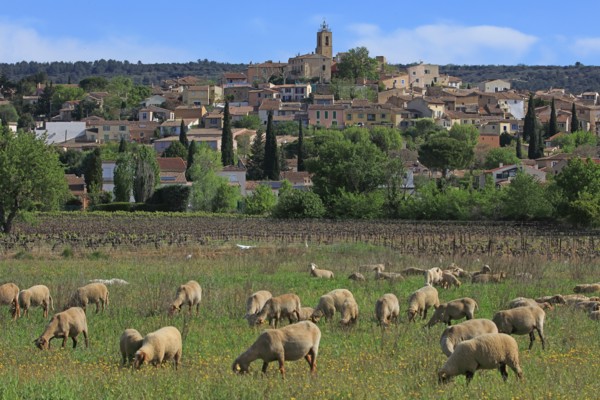 Pourrières, Var