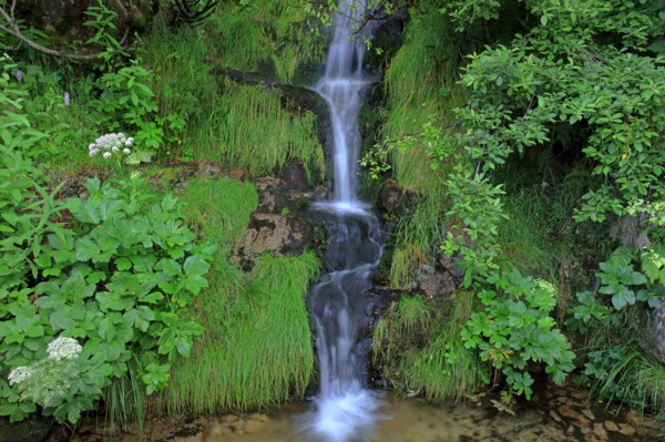 Cascade en Lozère